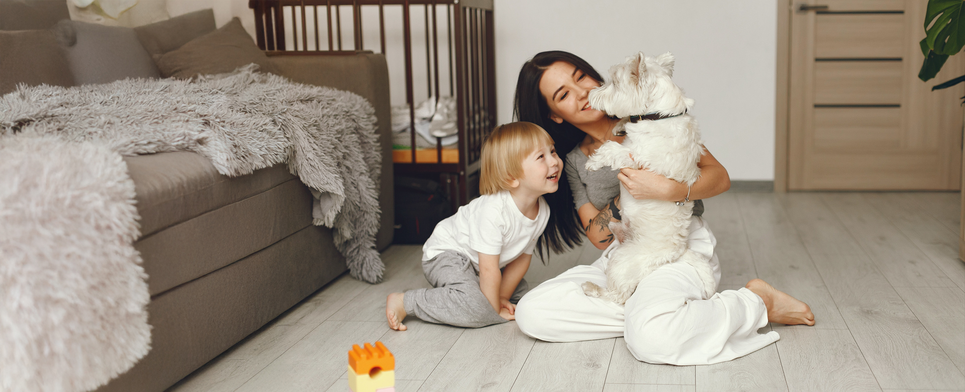 banner-bona-pet-system-3