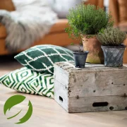 Renovador para Maderas Aceitadas Bona